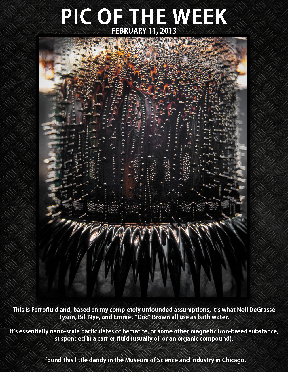 Pic of the week 13-2-11