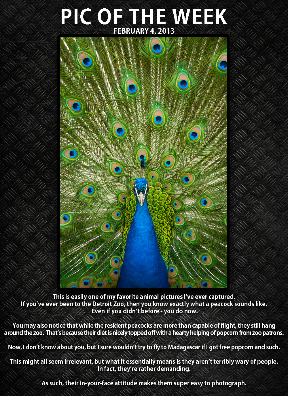 Pic of the week 13-2-4