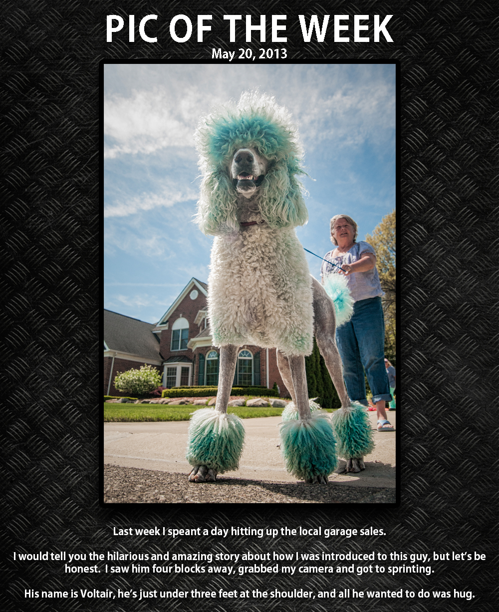 Pic of the week 13-5-20