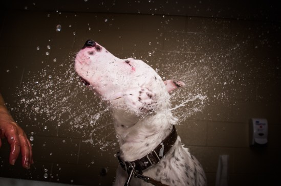 JonKPhoto_Genesee_030