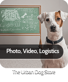 Project Thumbnails 11