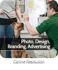 Project Thumbnails 4