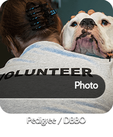 Project Thumbnails 6