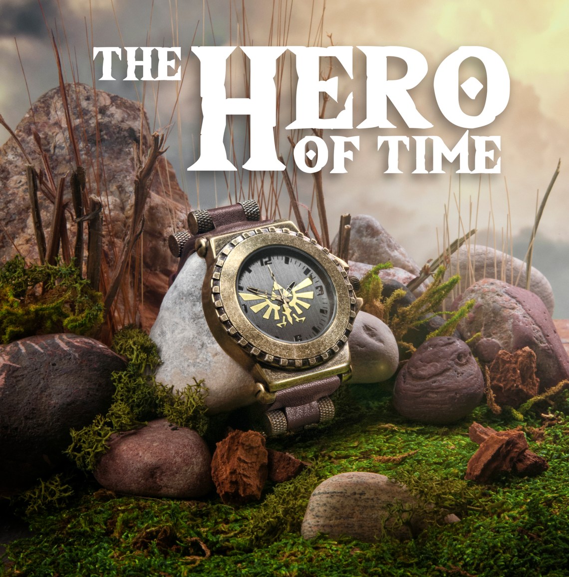 2018-2-18 Zelda Watch _DSC4667