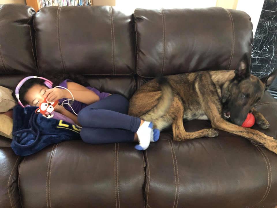 49774154_10214860366917672_6457543012401545216_n