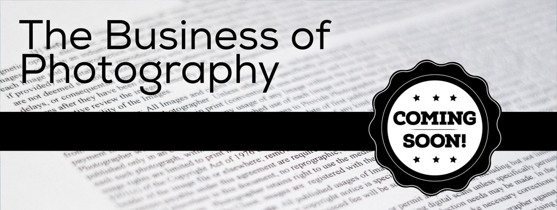 The Business of Photography